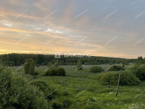 kottedzhnyy-poselok-novaya-muraviha-dalnekonstantinovskiy-rayon фото