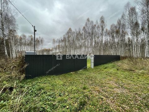 derevnya-berezovka-bogorodskiy-municipalnyy-okrug фото