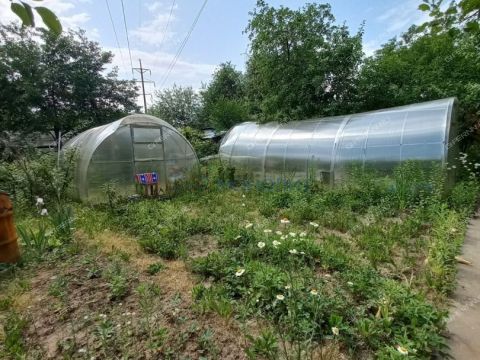 dacha фото