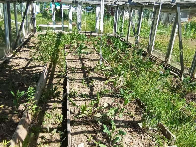 дача на  СТ №12 Ягодное