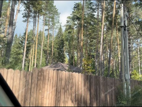 poselok-bor-lyskovskiy-municipalnyy-okrug фото