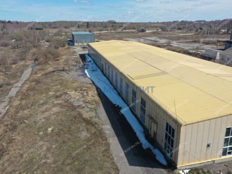 surovatiha-poselok-snt-dalnekonstantinovskiy-rayon фото