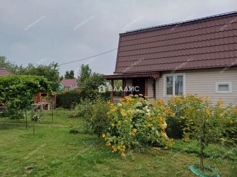 dacha-snt-avangard-gorodskoy-okrug-bor фото