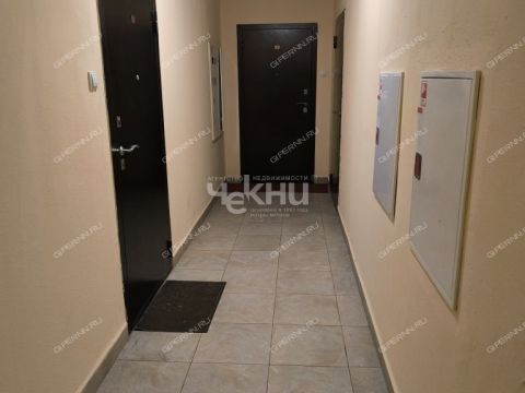 1-komnatnaya-derevnya-ankudinovka-kstovskiy-rayon фото