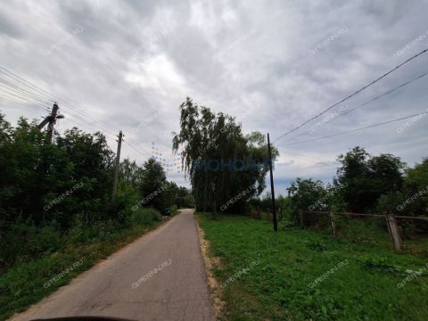 selo-arapovo-bogorodskiy-municipalnyy-okrug фото