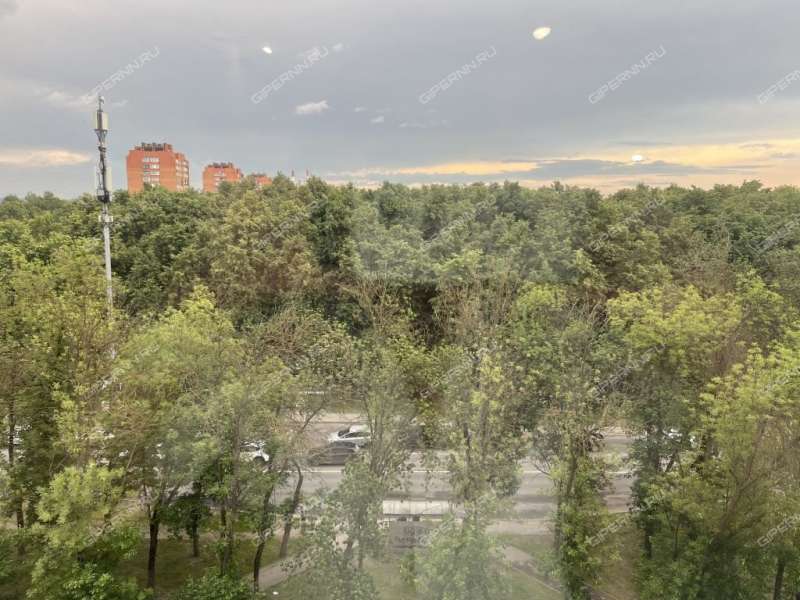 однокомнатная квартира на Молодёжном проспекте дом 31