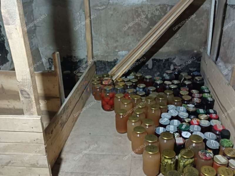 дом на Новой улице деревня Кожевенное