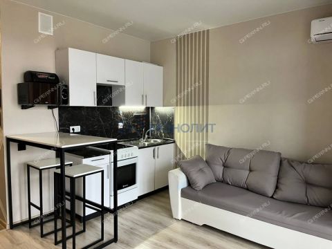 kvartira-studiya-derevnya-ankudinovka-kstovskiy-rayon фото