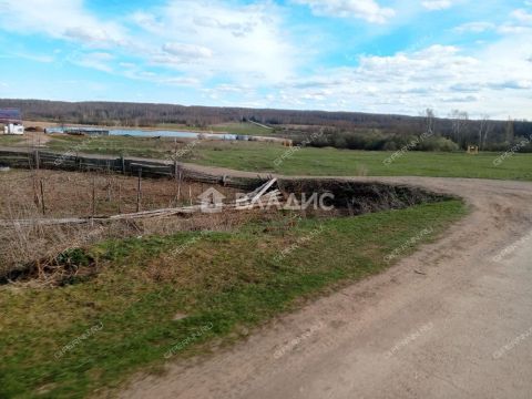 derevnya-inyutino-bogorodskiy-municipalnyy-okrug фото