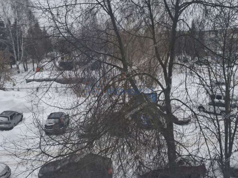 трёхкомнатная квартира на улице Пушкина дом 21