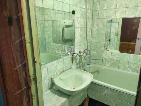 3-komnatnaya-ul-germana-lopatina-d-9 фото