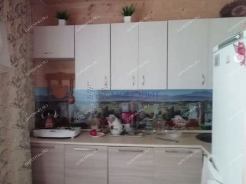 dacha-selo-kamenki-bogorodskiy-municipalnyy-okrug фото