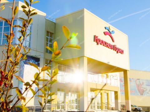 kottedzh-derevnya-zykovo-gorodskoy-okrug-bor фото
