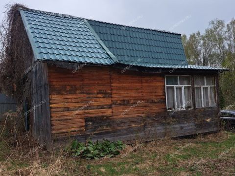 sad-derevnya-kremenki-dalnekonstantinovskiy-rayon фото