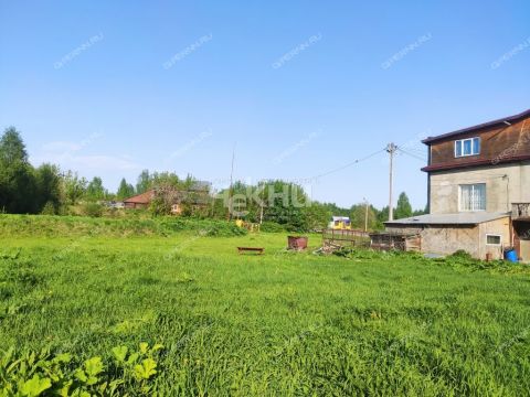 derevnya-maloe-chuhovo-gorodskoy-okrug-chkalovsk фото