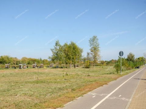 1-komnatnaya-prosp-busygina-d-47a фото