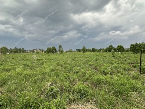 derevnya-krashovo-bogorodskiy-municipalnyy-okrug фото
