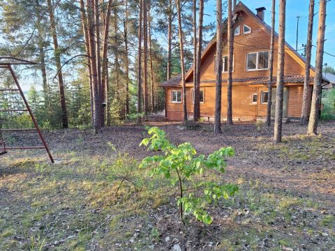 poselok-novaya-shomohta-sokolskiy-gorodskoy-okrug фото