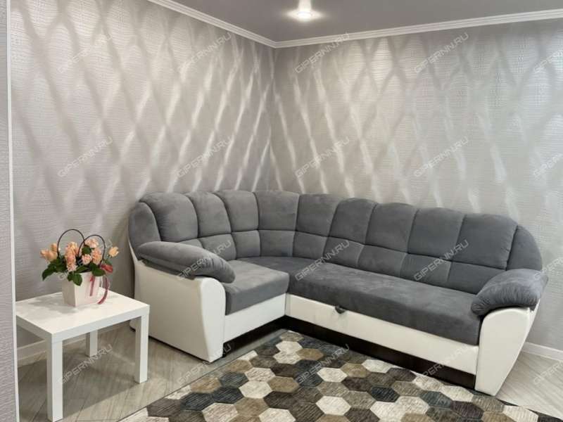 двухкомнатная квартира на улице Дьяконова дом 6