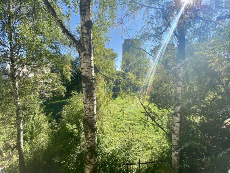 трёхкомнатная квартира на Московском шоссе дом 128