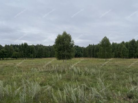 dom-derevnya-zhukovka-ppk-selsovet-gorodskoy-okrug-bor фото