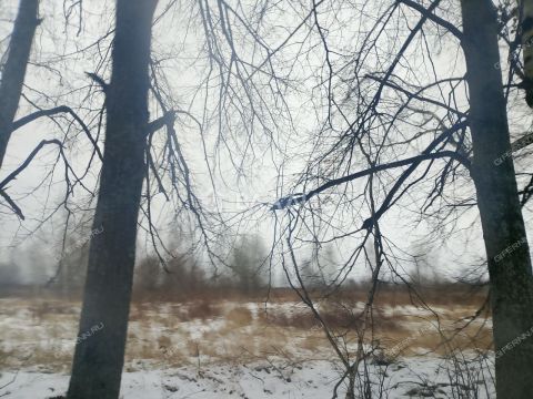 selo-bezvodnoe-kstovskiy-rayon фото