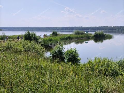 selo-afanasevo-bogorodskiy-municipalnyy-okrug фото