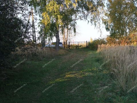 derevnya-kamenka-kstovskiy-rayon фото