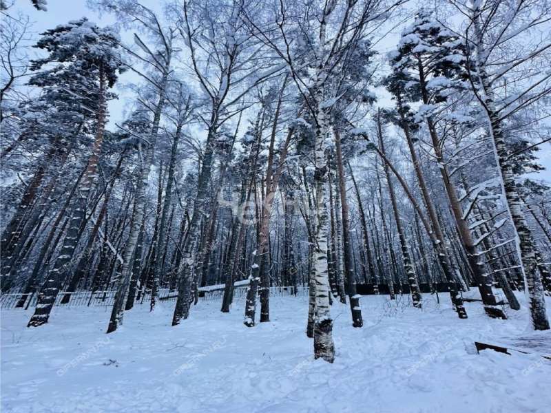 дом на  ТСН Чистые ключи