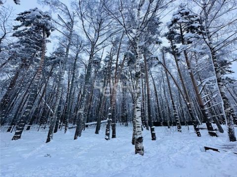 dom-tsn-chistye-klyuchi-dalnekonstantinovskiy-rayon фото