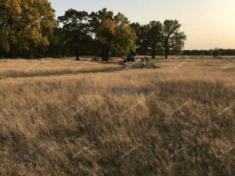 dacha-dzerzhinec-ter-snt-gorodskoy-okrug-dzerzhinsk фото