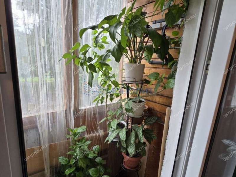 двухкомнатная квартира на улице Дружаева дом 3