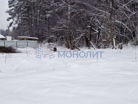 snt-stroitel-bogorodskiy-municipalnyy-okrug фото