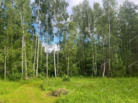 derevnya-zimenki-bogorodskiy-municipalnyy-okrug фото