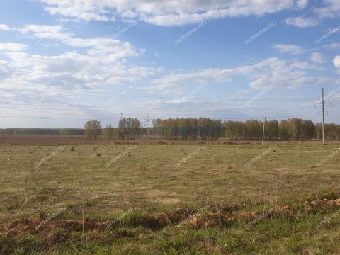 selo-afanasevo-bogorodskiy-municipalnyy-okrug фото