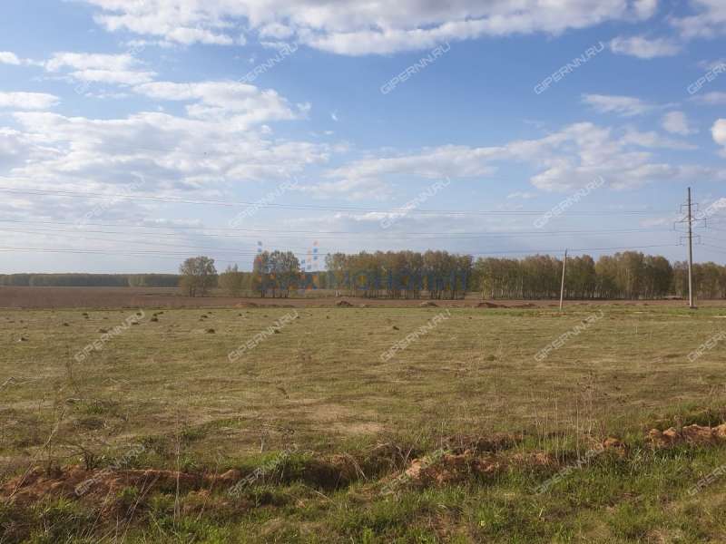 земельный участок 8,21 сотки село Афанасьево