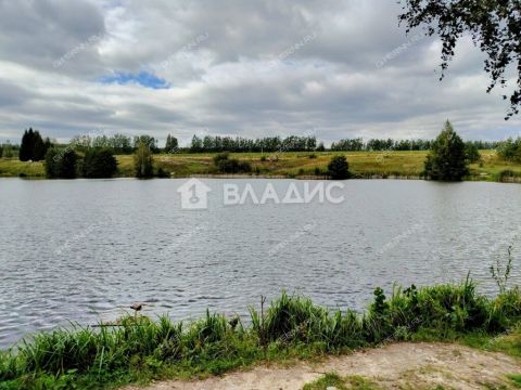 selo-spirino-bogorodskiy-municipalnyy-okrug фото