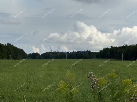 selo-kamenki-bogorodskiy-municipalnyy-okrug фото