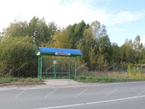 derevnya-shopovo-bogorodskiy-municipalnyy-okrug фото