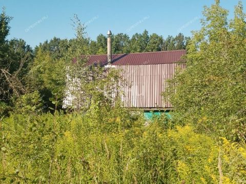 dacha-snt-zheleznodorozhnik фото