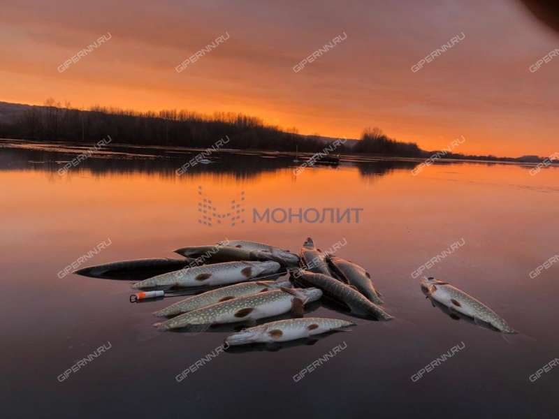 дом на Набережной улице село Бармино