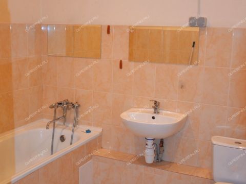 1-komnatnaya-ul-tonkinskaya-d-14a фото