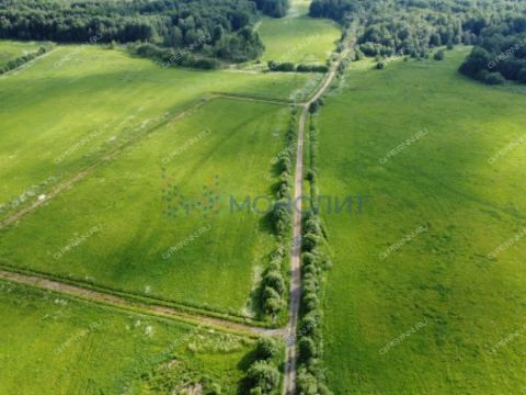 derevnya-inyutino-bogorodskiy-municipalnyy-okrug фото