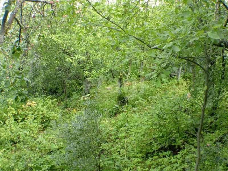 земельный участок 5,7 сотки «Маяк» садовое товарищество