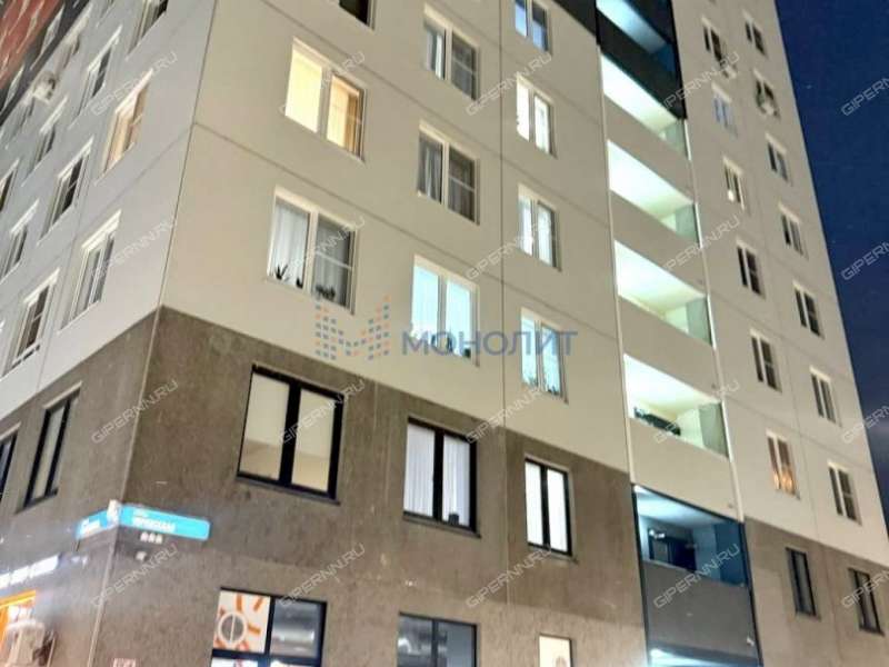 двухкомнатная квартира на Черкесской улице дом 1 деревня Анкудиновка