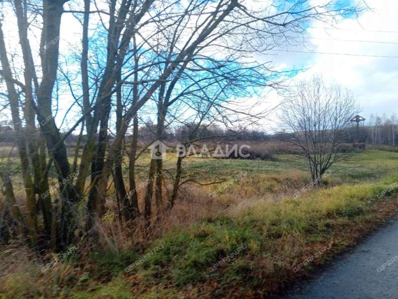 земельный участок 10 соток деревня Инютино