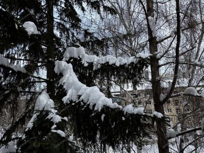 двухкомнатная квартира на улице Энгельса дом 18