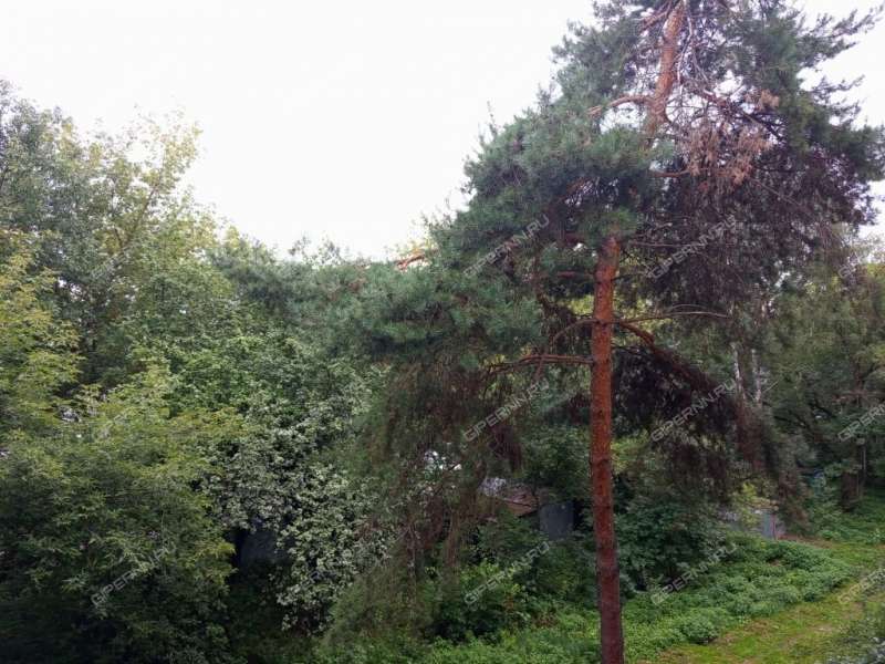 двухкомнатная квартира на улице Старых Производственников дом 10