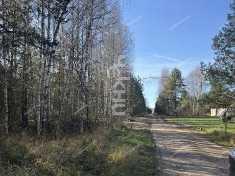dom-derevnya-nepecino-bogorodskiy-municipalnyy-okrug фото