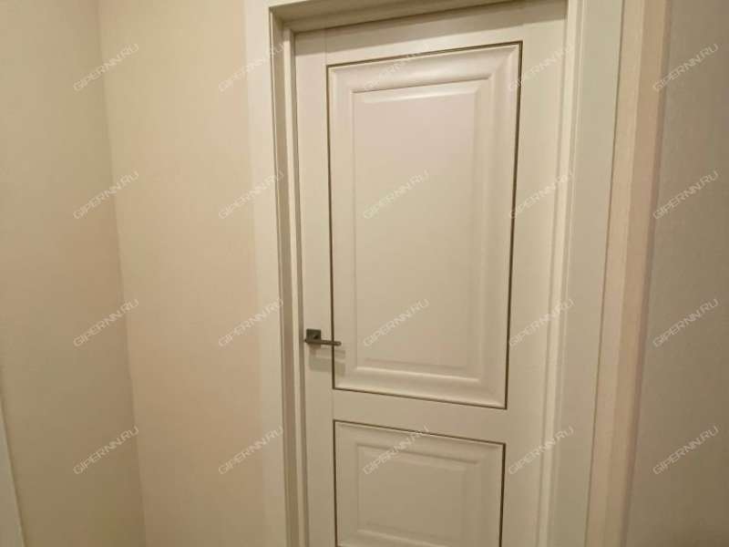 трёхкомнатная квартира на проспекте Гагарина дом 110А